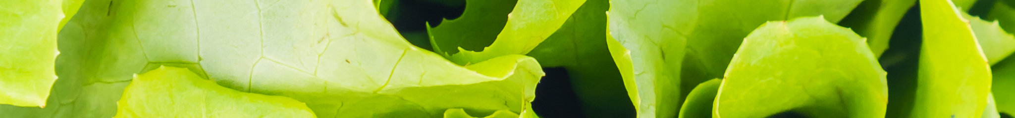 GEPSA FAQs BANNER